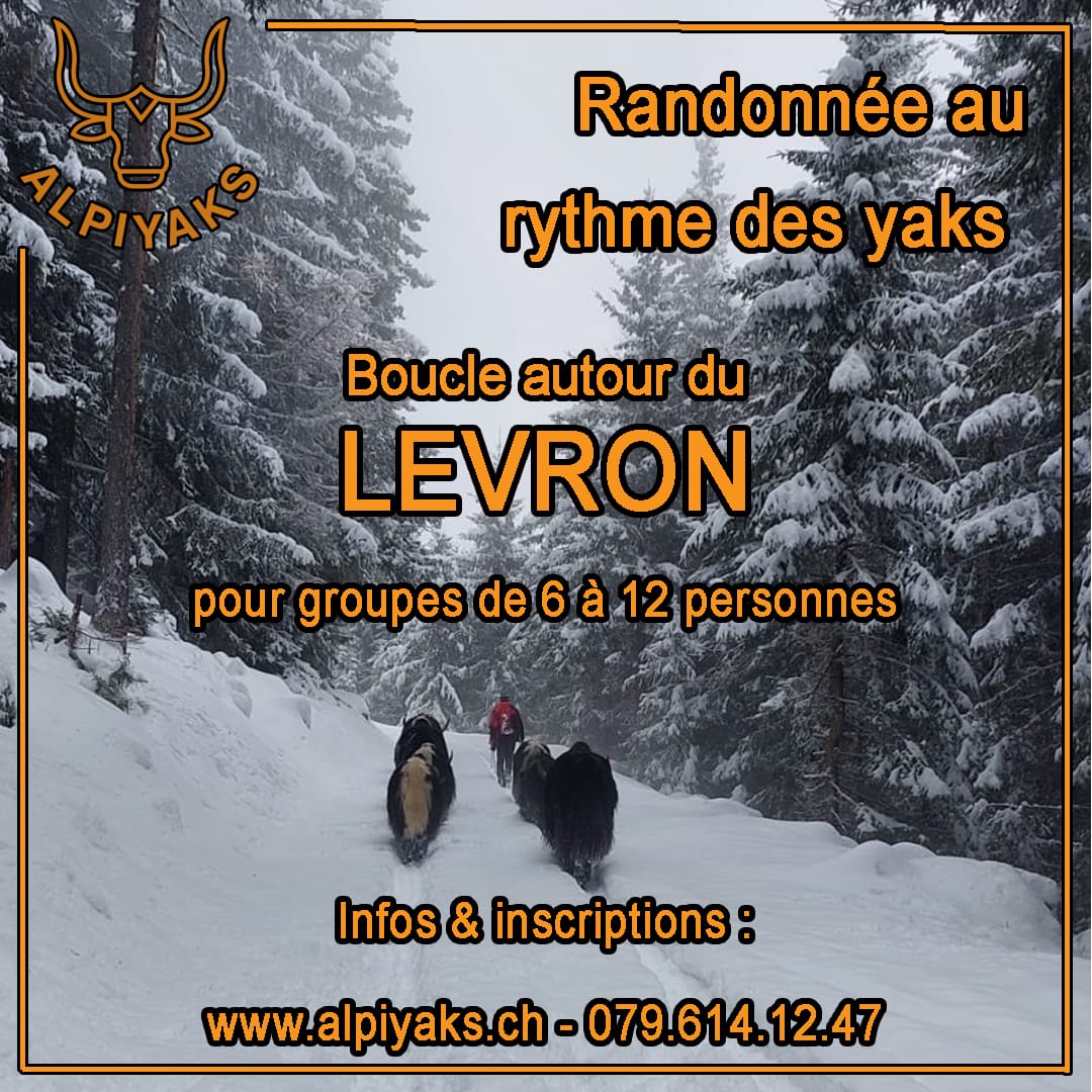 WhatsApp Image 2023-01-11 à 21.36.29